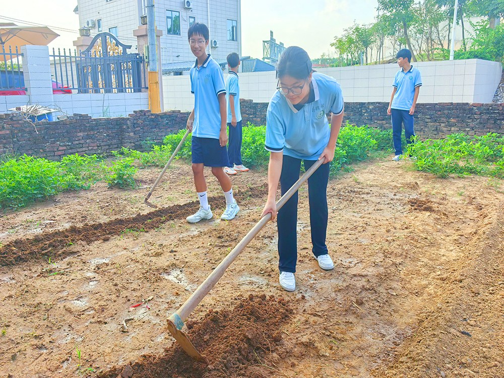 自贡正规全封闭管教学校2026家长择校指南